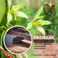 Villa Vainilla Pure Vanilla Extract - From Mexico (128 Fl Oz/1.0 Gl (Pure Vanilla Extract)