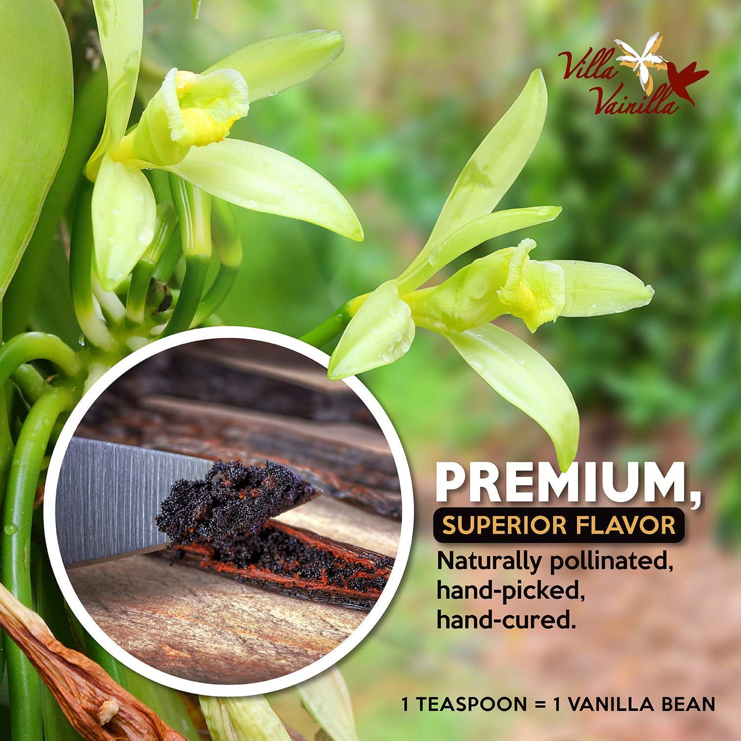 Villa Vainilla Pure Vanilla Extract - From Mexico (128 Fl Oz/1.0 Gl (Pure Vanilla Extract)