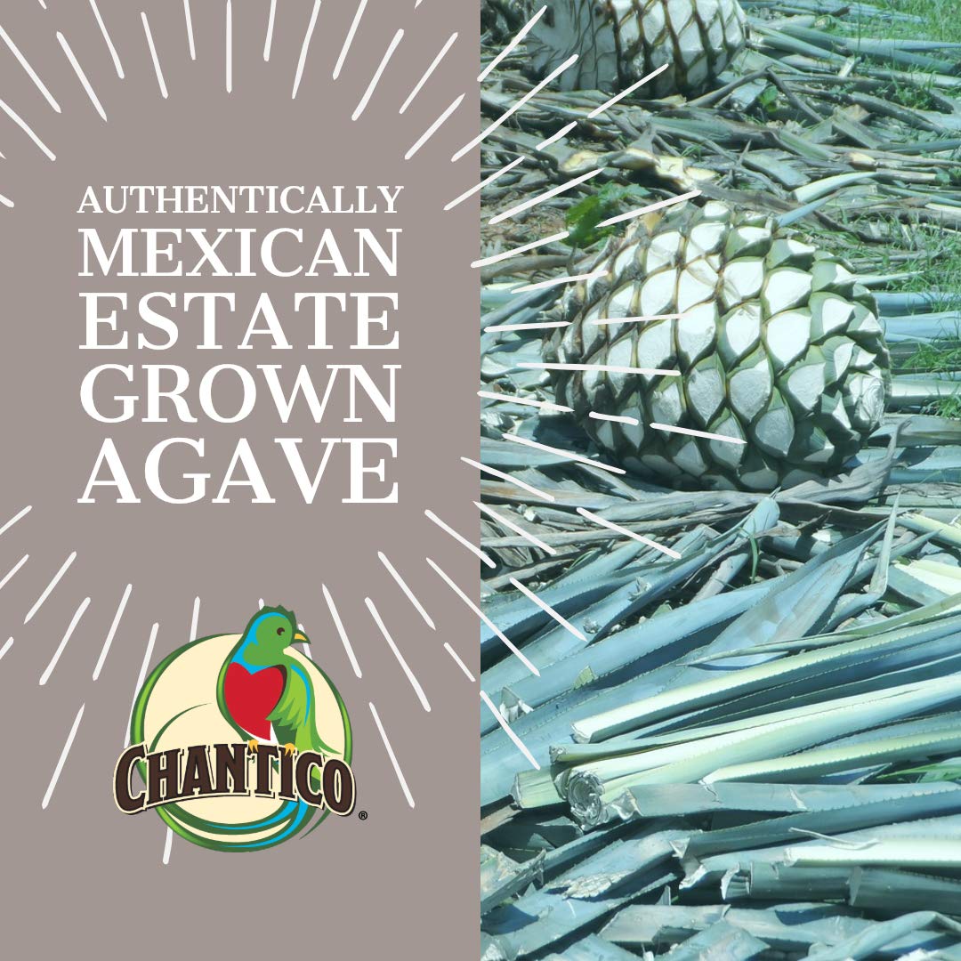 Chantico Agave Organic Sweet Granulated Agave Powder, Low Glycemic, 250g Bag