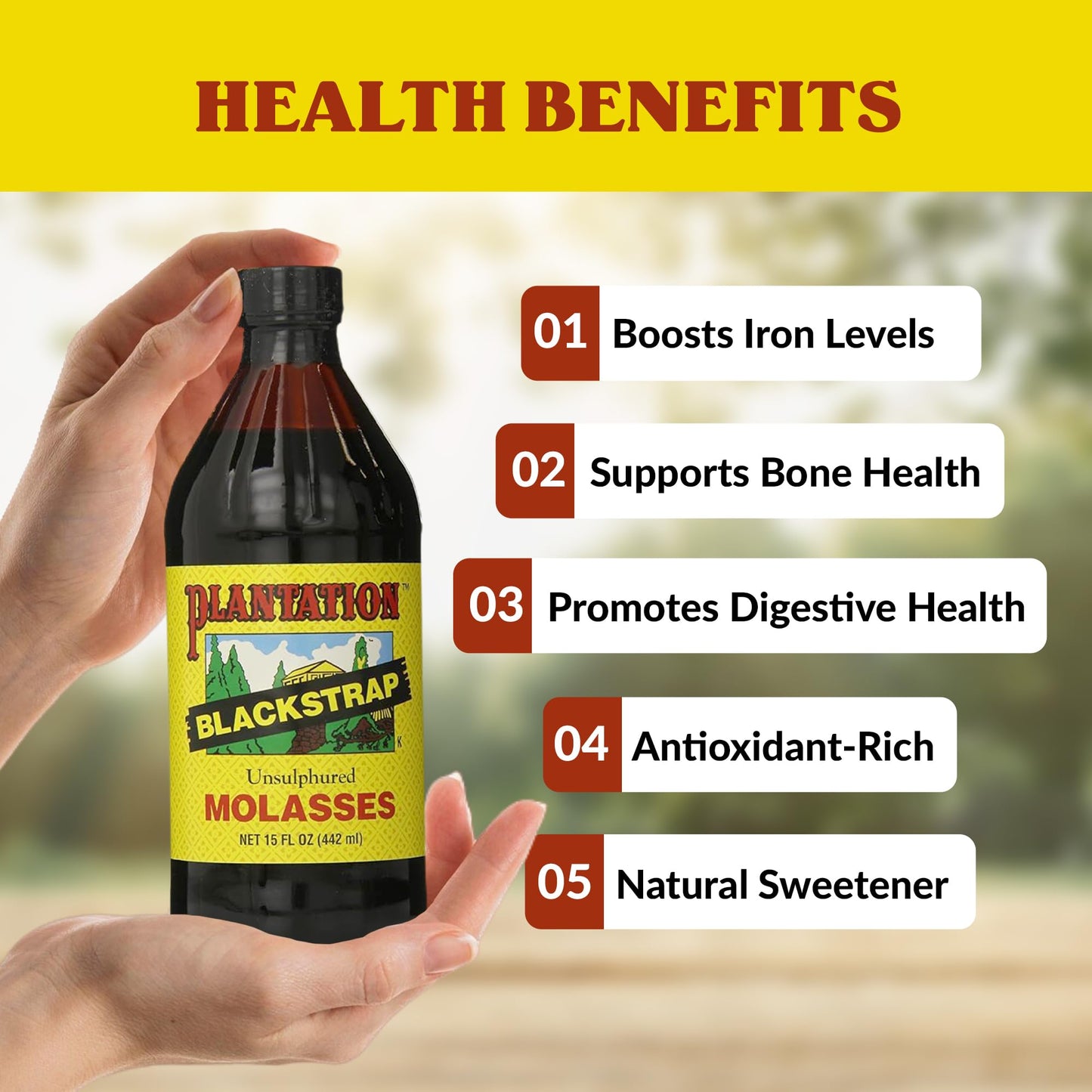 Plantation Blackstrap Molasses, 15 oz Bottle, Pack of 2