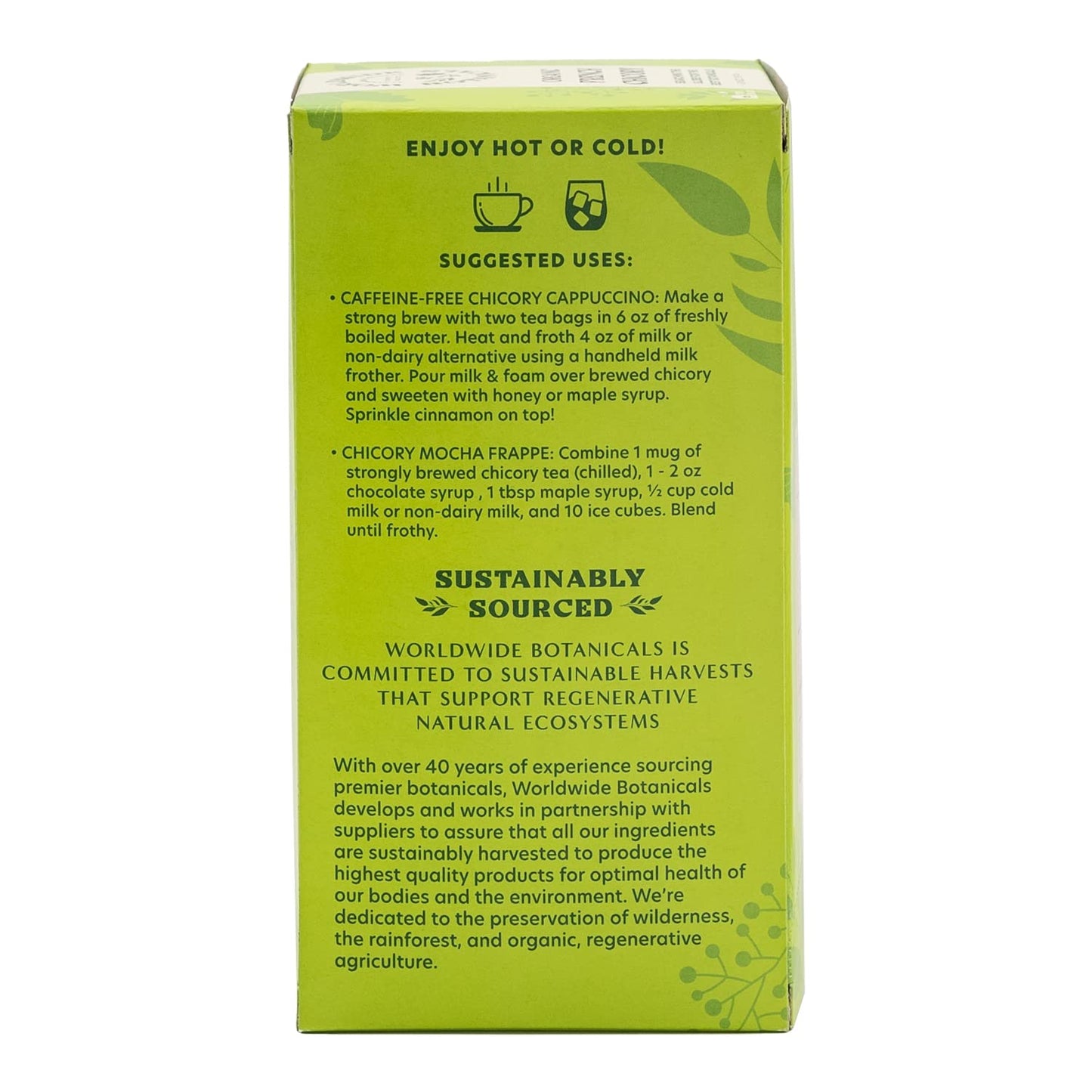 Worldwide Botanicals Organic French Chicory Root Tea - Prebiotic, Roasted, Caffeine Free - 25 Tea Bags