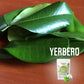 Yerbero - Te Hoja De Guanabana 1Oz (28G) | Graviola Leaf - Whole Soursop Leaves | Stand Alone Resealable Bag, Crafted By Nature