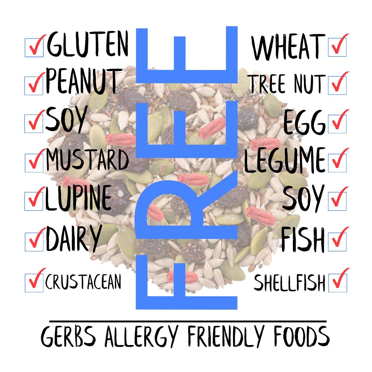 Gerbs Superfood Snack Mix 2 Lbs. | Top 14 Food Allergy Free | Bulk Bag | Made Usa | Raw Pumpkin Sunflower Chia Hemp Brown Flax S