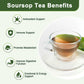 Organic Soursop Leaf Tea Bags | Annona Muricata Herbal Tea for Relaxation & Wellness | Caffeine-Free  Antioxidant Rich | 30 Count | Gluten-Free  Non-GMO
