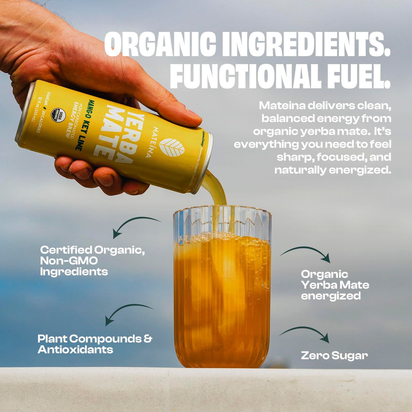 Mateina Yerba Mate Zero Sugar Energy Drink - 120mg Natural Caffeine - Organic  Non-GMO  Non-Carbonated - Dr. Andrew Huberman Recommended - 12 Pack (12oz Cans) (12 Pack  Mango Key Lime)