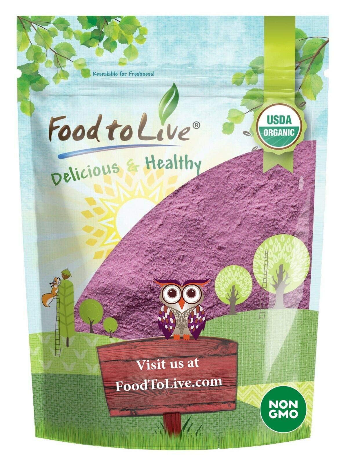 Food to Live Organic Tart Cherry Powder, 1 Pounds - Non-GMO, Raw, Kosher, Vegan Superfood, Bulk, Rich in Antioxidants, Great for