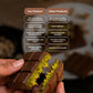 Hastel Viral Dubai Chocolate Pistachio Bars 2.46 Oz 70 G Smooth Taste Gift For Dessert Lovers Rich Kataifi Flavors Premium Textu