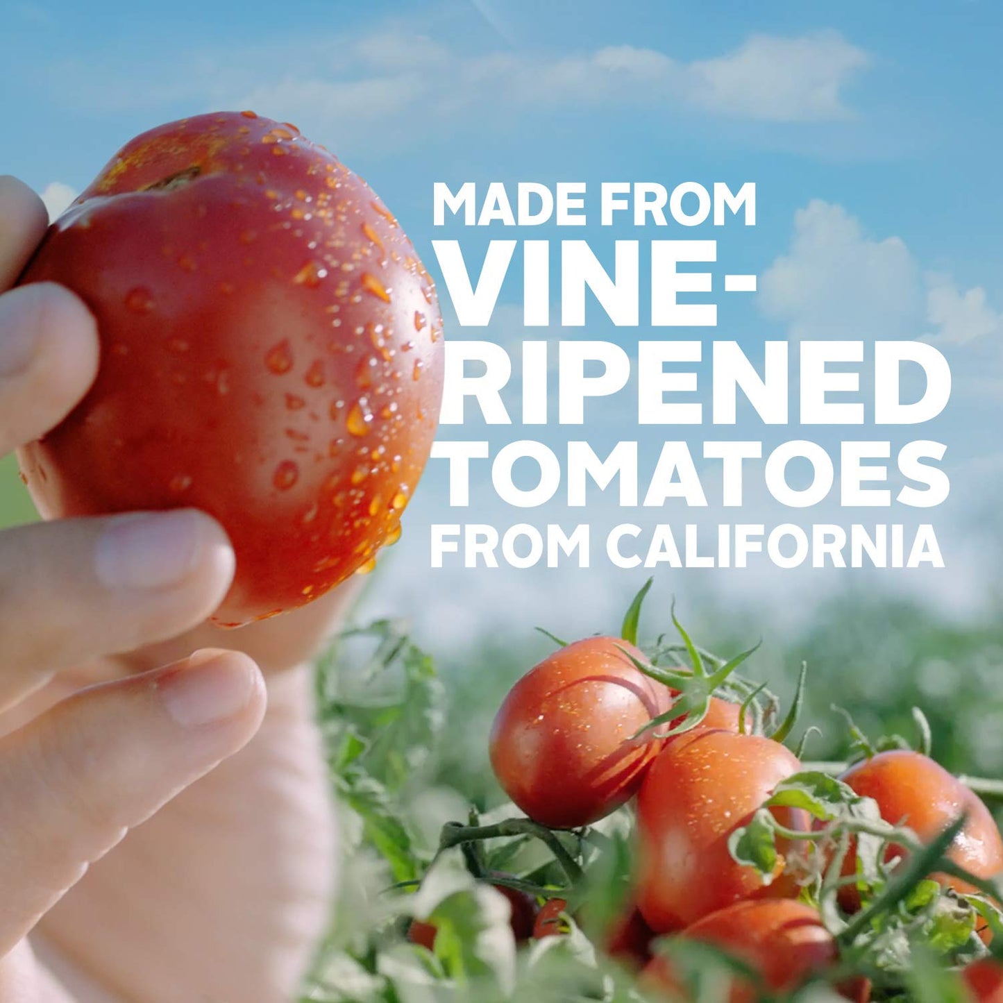 Hunts Whole Peeled Plum Tomatoes, 14.5 oz, 12 Pack