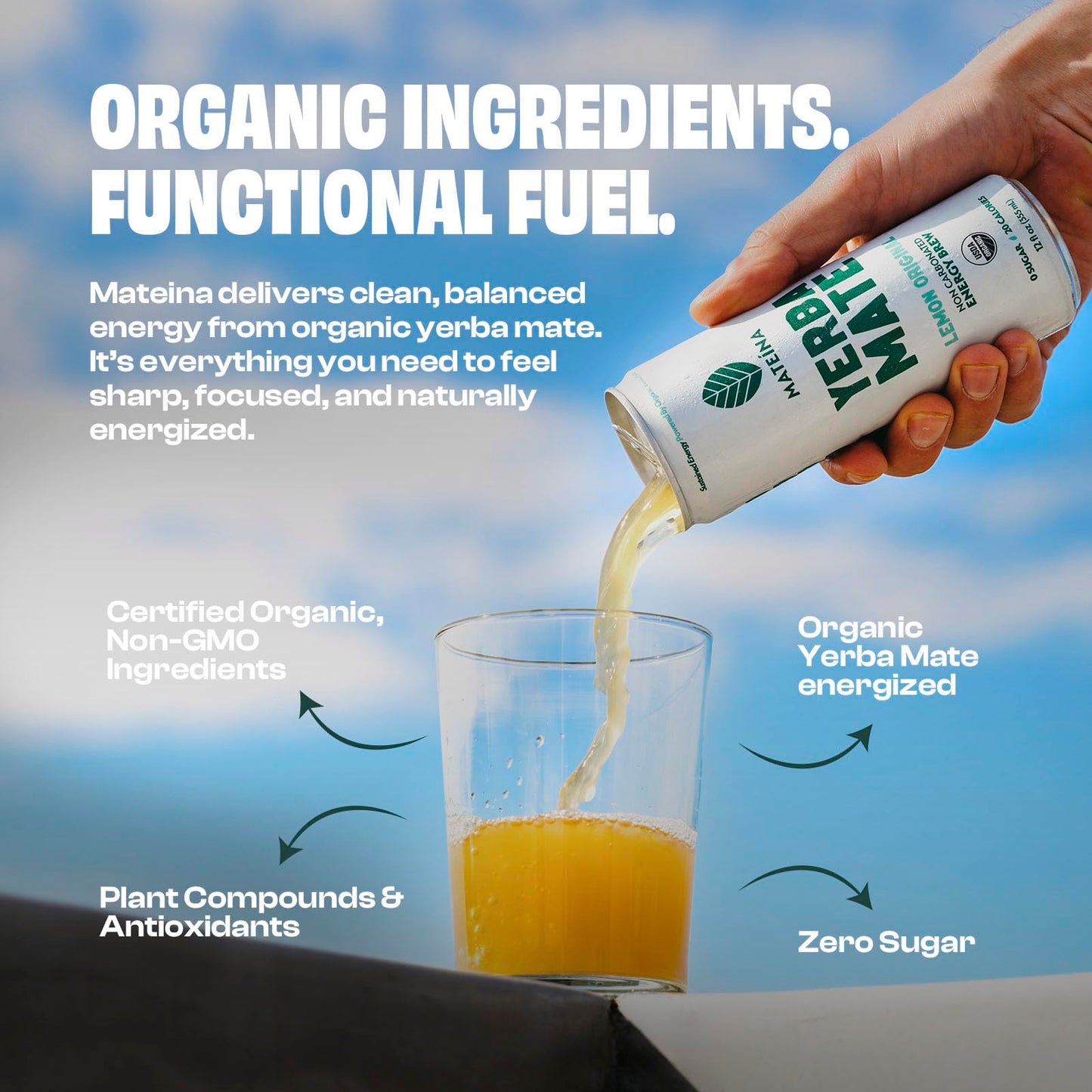 Mateina Yerba Mate Zero Sugar Energy Drink - 120mg Natural Caffeine - Organic  Non-GMO  Non-Carbonated - Dr. Andrew Huberman Recommended - 12 Pack (12oz Cans) (12 Pack  Lemon Original)