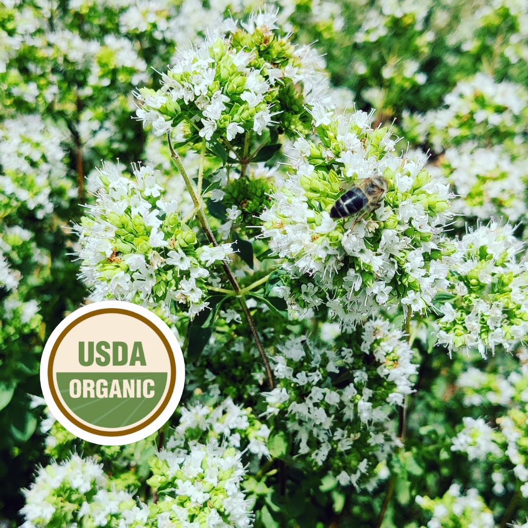 FILIPPONE Filippone Organic Crushed Oregano Seasoning, 20 g (0.70 oz), Italian Dried Oregano Shaker, Sicilian Oregano with inten