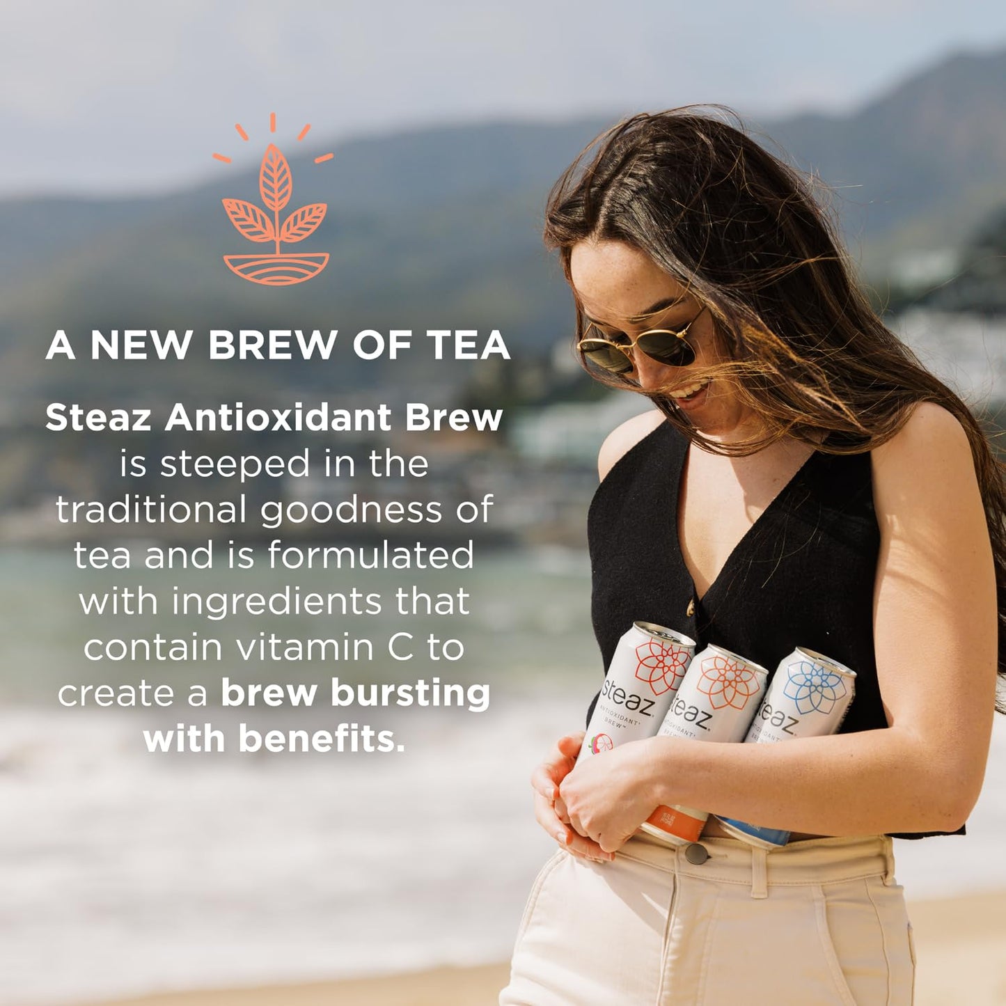 Steaz Organic Iced Green Tea Antioxidant Brew, Zero Calorie Goji Blackberry, 16 Fl Oz, Pack Of 12