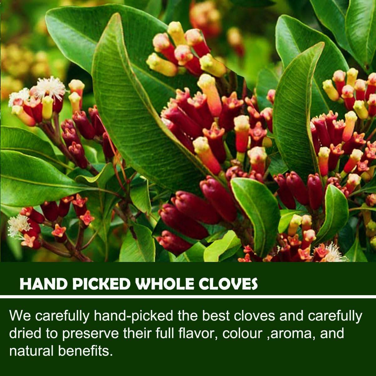 Organic Whole Cloves 1.7 oz, (stand up resealable pouch)