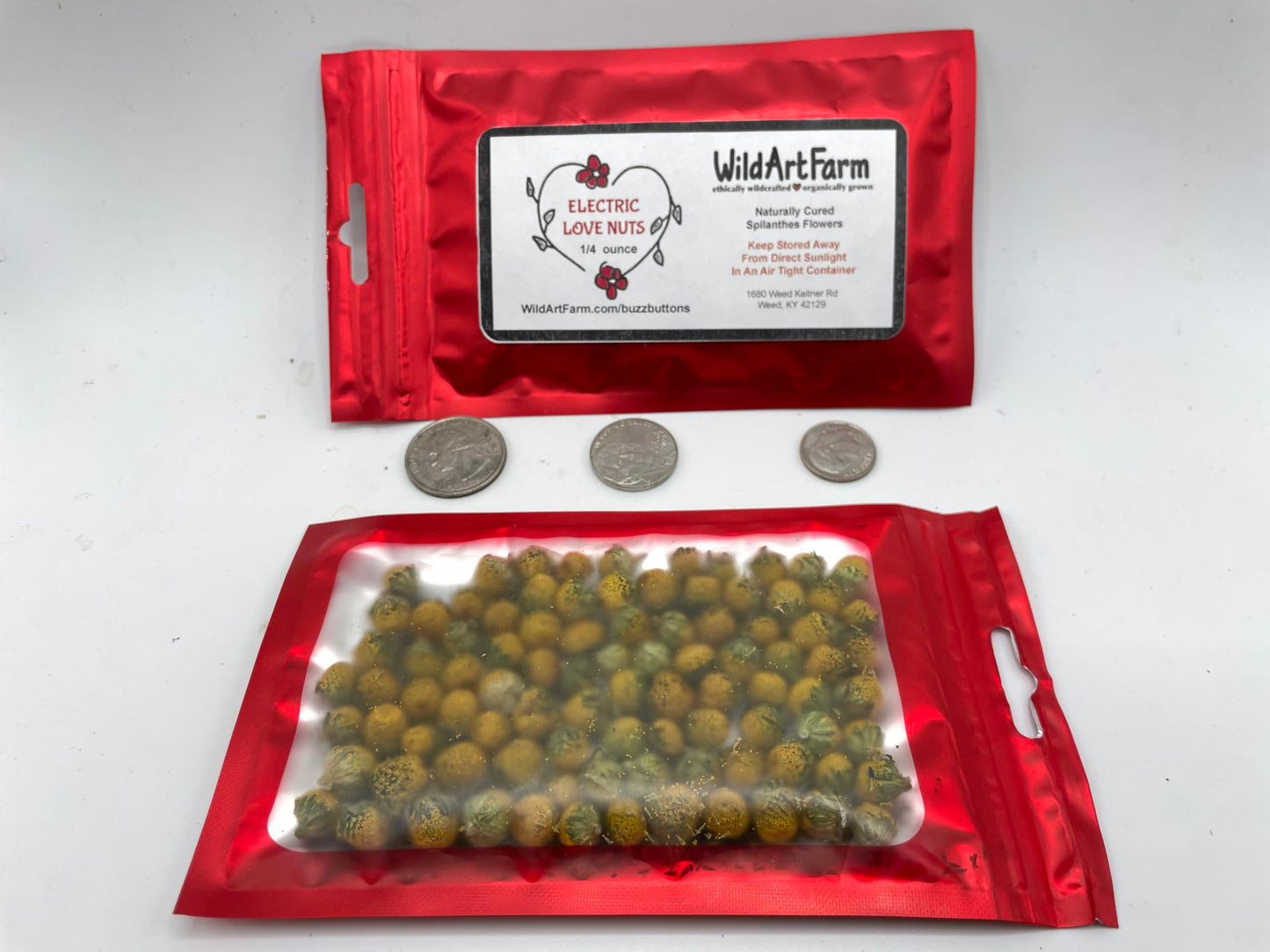 Buzz Buttons Aka Spilanthes, Holiday Themed, Naturally Cured, Small Size Edible Flower Gifts (1/4 Oz Love Nuts)