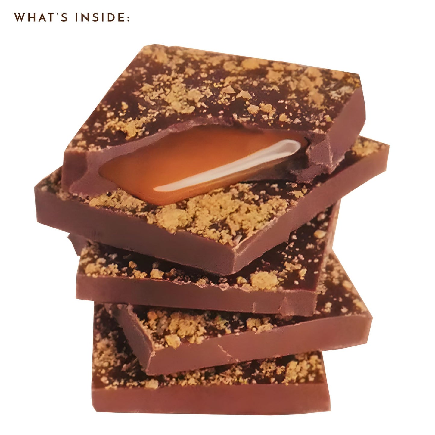 Ethel M Chocolates Holiday Gingerbread Cookie Butter Caramel Milk Chocolate Gourmet Tablet Bar (85G)