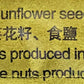 Chacha Natural Roasted Sunflower Seeds (3 Pack, Total Of 750G)