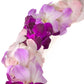 Misteen Gorgeous Orchids: Long-Lasting Leis Made Of Fresh Cut Purple, Lavender, And Pink Orchids, For Graduations, Party Decorat