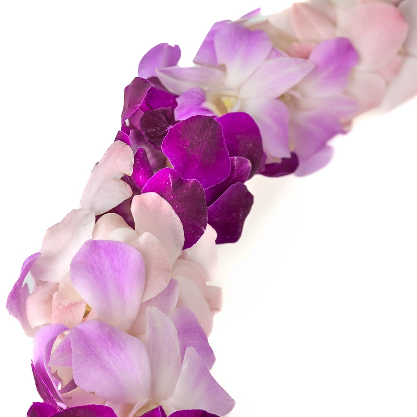 Misteen Gorgeous Orchids: Long-Lasting Leis Made Of Fresh Cut Purple, Lavender, And Pink Orchids, For Graduations, Party Decorat