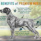 Chicken Soup For The Soul All Natural Enhanced Mature-Themed Dry Dog Food, Real Meat First Ingredient, No By-Products, Supports Gut & Immune Health, Beef & Brown Rice, 4.5Lb