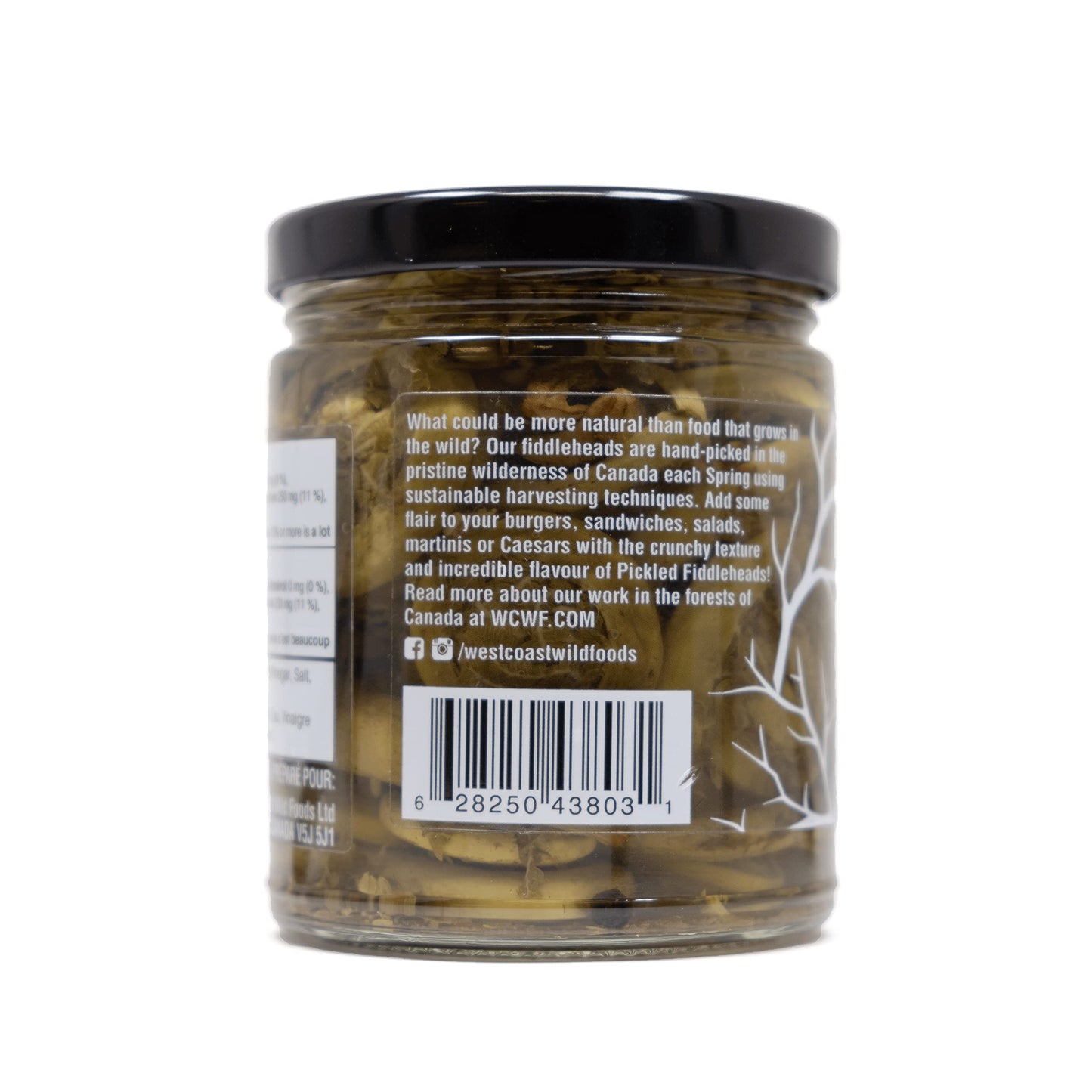 Wild Pickled Fiddleheads (Dill | 250ml - 8oz) | Local | West Coast Wild Foods