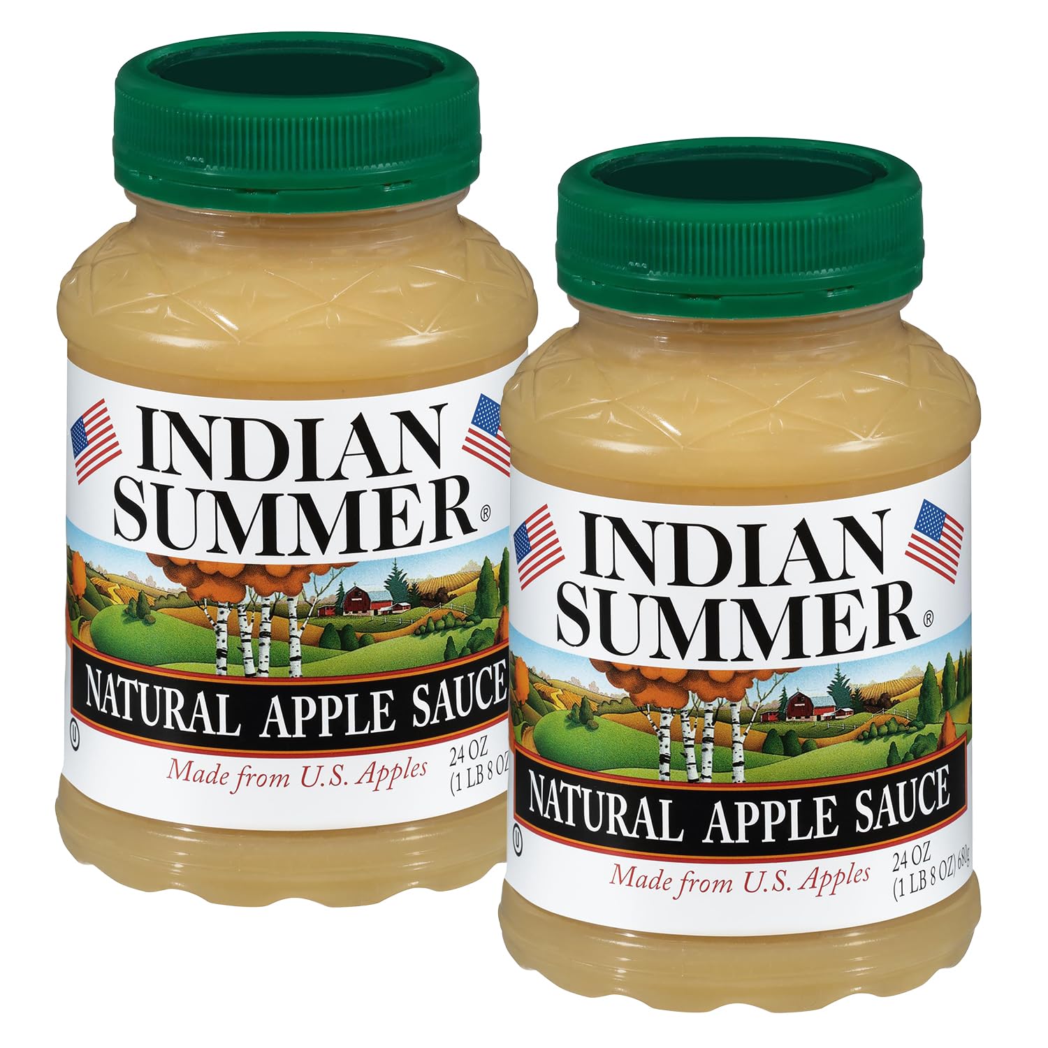 INDIAN SUMMER Premium Chunky Applesauce, 24 Ounce (Pack of 2), Made from US Apples