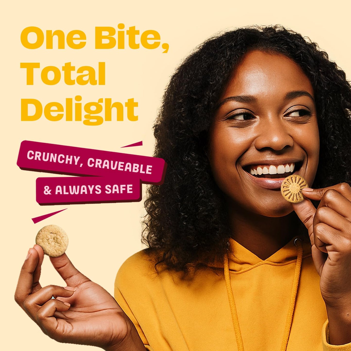 Gluten Free Partake Mini Classic Graham Crackers & Vanilla Wafer Cookies Variety Pack - Vegan - Free From the Top 9 Allergens In