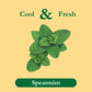 Tadin Spearmint Herbal Tea Bags, Caffeine Free, 24 Count (Pack of 6), Individually Wrapped, Great for Hot or Iced Tea