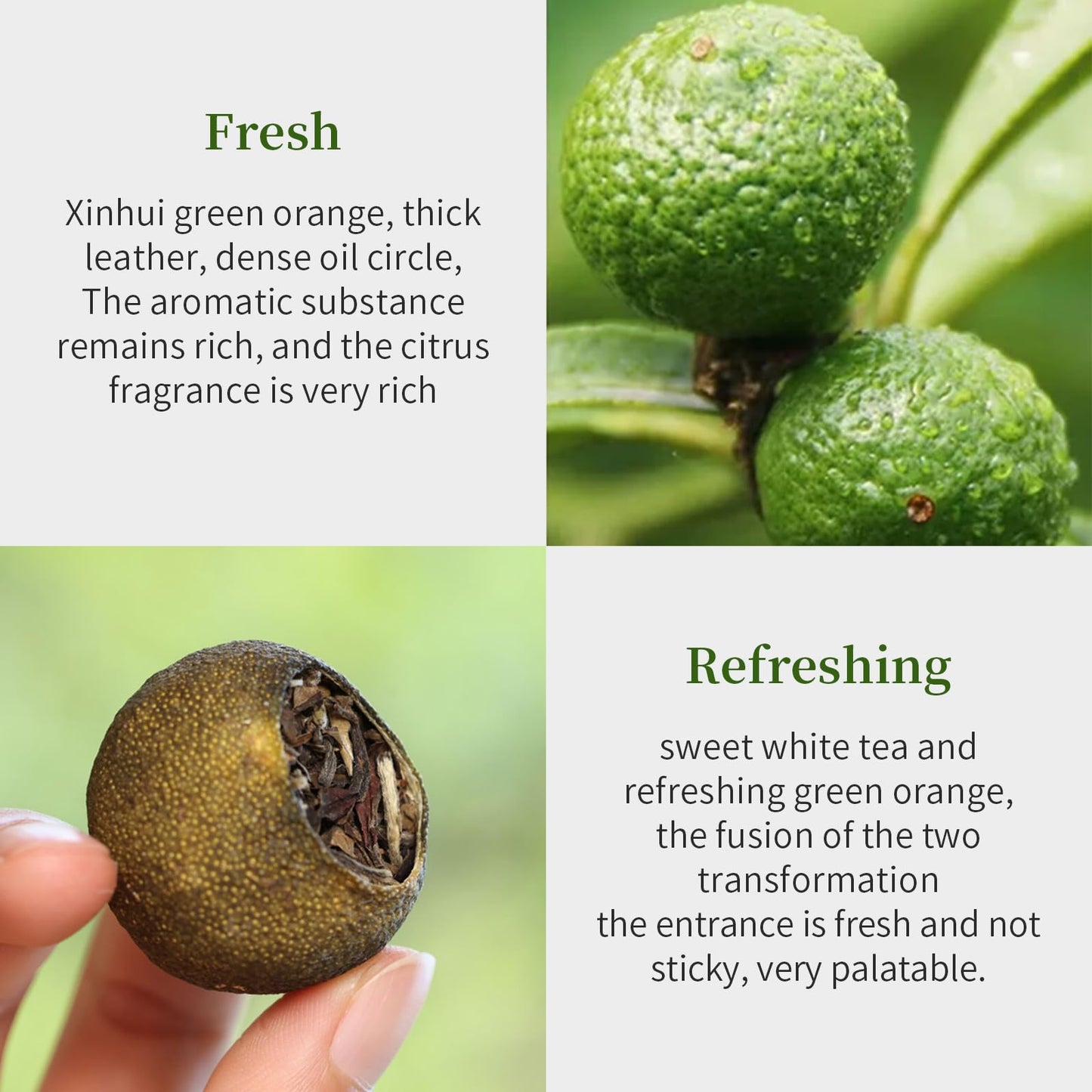 Xixicha White Tea Premium Tangerine Peel White Tea 9.87Oz(280G) Xiao Qing Gan White Tea Xinhui Chenpi White Citrus Tea Fuding Wh
