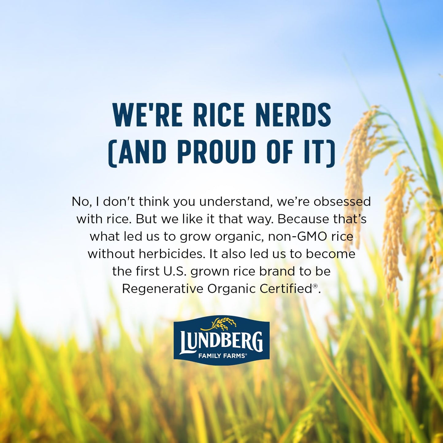 Lundberg Basmati Rice, Organic Long Grain Brown Rice - Non-Sticky, Fluffy Aromatic Rice Grown in California, Pantry Staples, 32