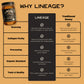 Lineage Provisions 100% Organic Raw Unfiltered Honey - 3-Pack (18 oz Glass Jars) - Undetectable Glyphosate, Chemical-Free, Glute