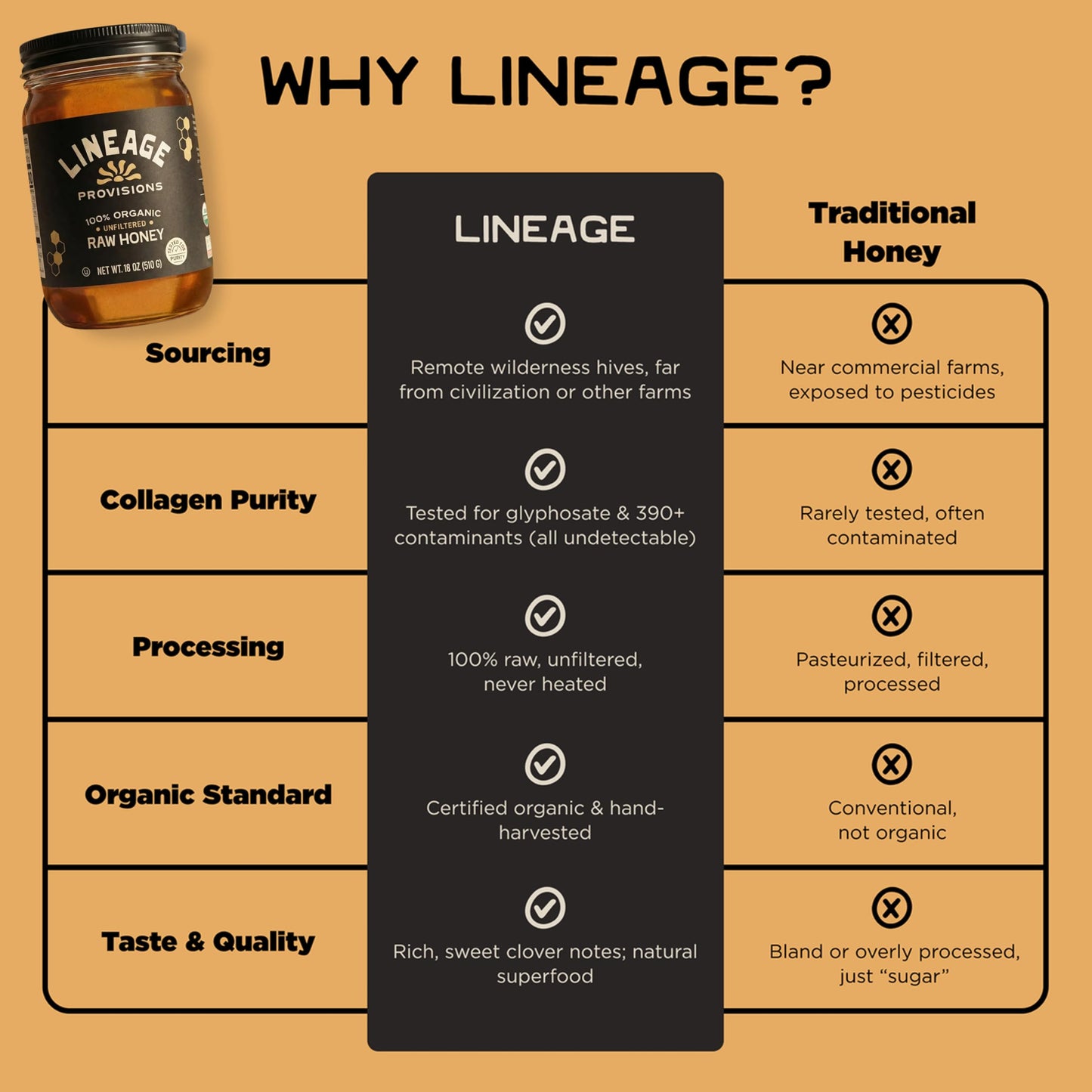 Lineage Provisions 100% Organic Raw Unfiltered Honey - 3-Pack (18 oz Glass Jars) - Undetectable Glyphosate, Chemical-Free, Glute