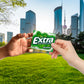EXTRA Spearmint Sugar Free Gum Back To School Chewing Gum, 3 Pack Bulk Gum (45 Sticks Total)