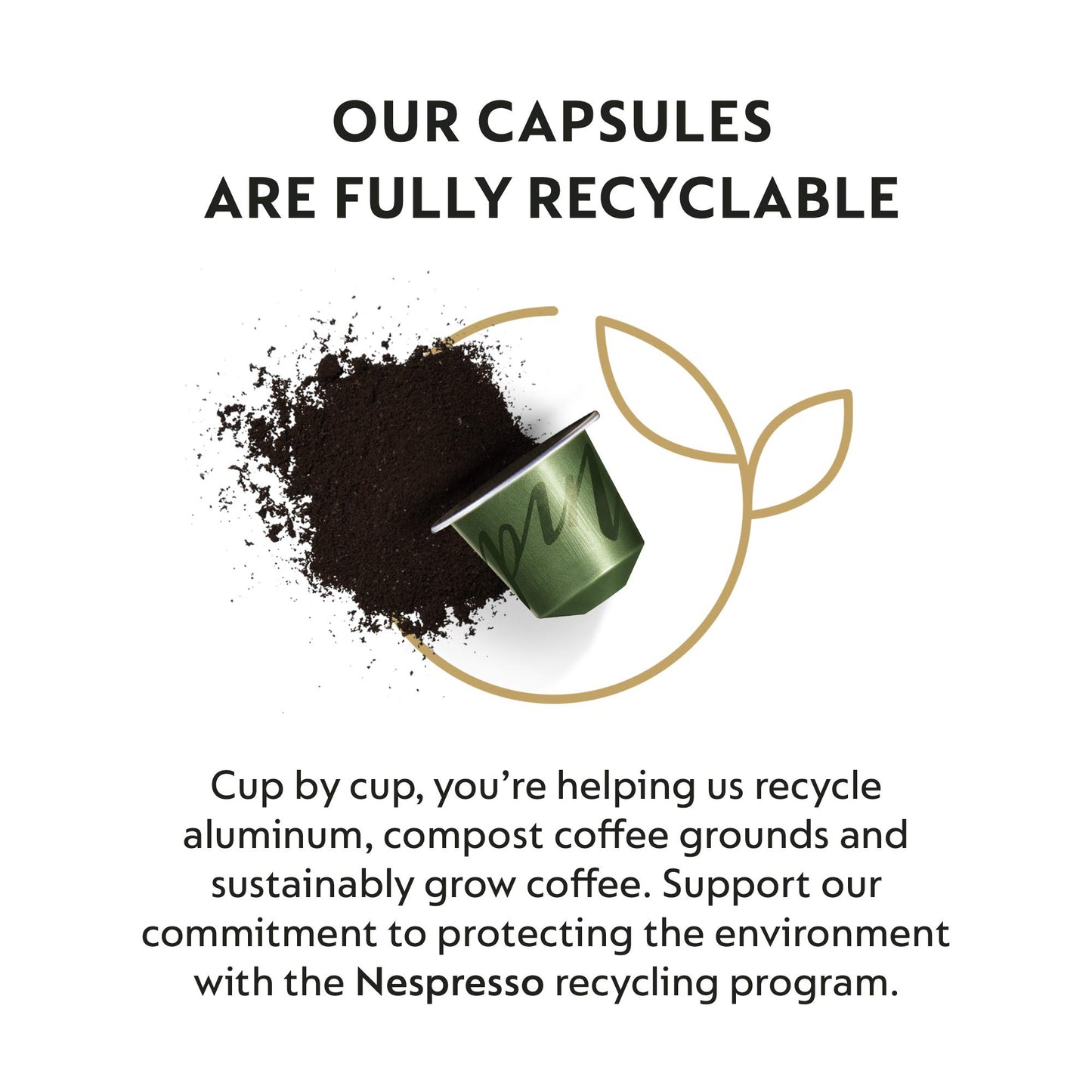 Nespresso compact pieces OriginalLine Dark Roast Coffee Pods, 50 Count, Black/Green