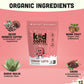Kiid Coffee - Organic Caffeine-Free Coffee for Kids - 12 Vitamins & Minerals, 4g Prebiotics - 12 Servings - Non-GMO, Gluten-Free