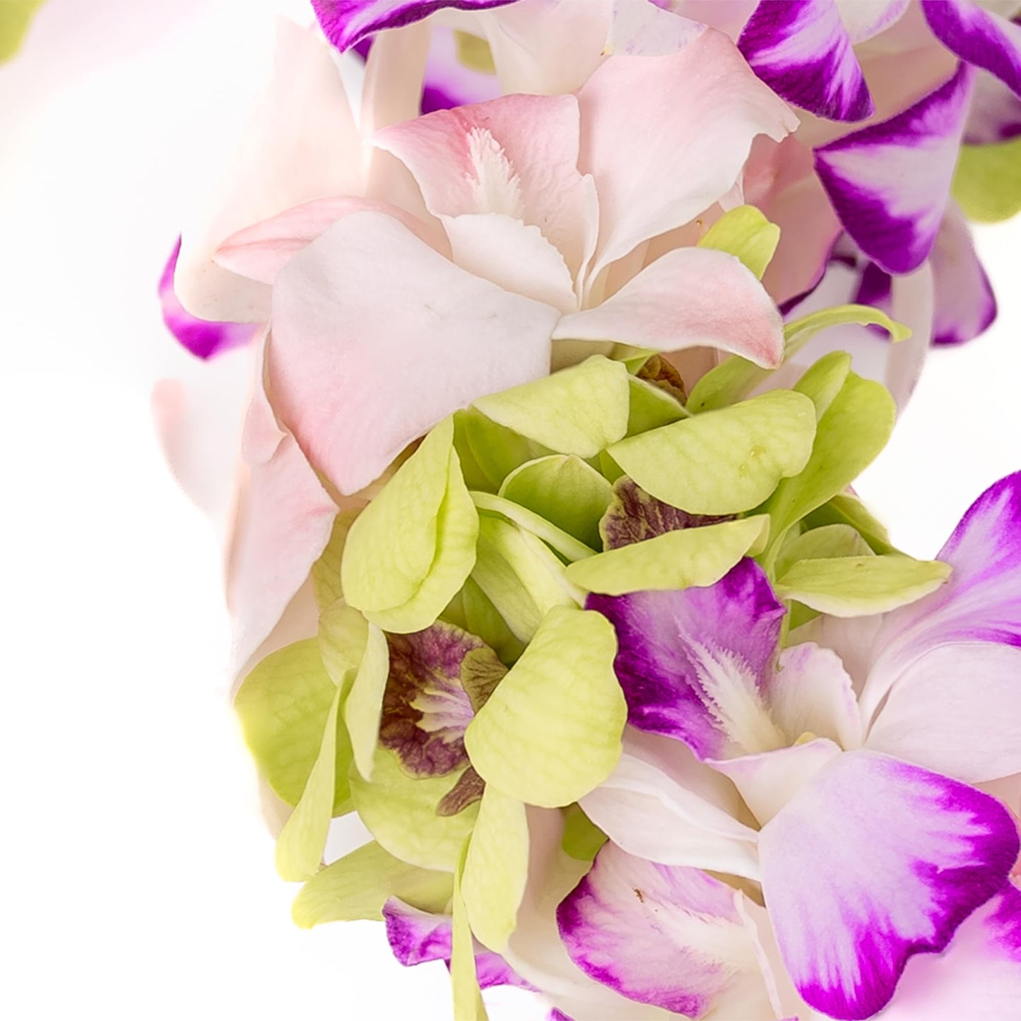 Fresh Cut Orchids Flower Leis Pink, Fresh Orchids, Gorgeous Orchids: Long-Lasting Leis Made Of Fresh Cut Purple, Lavender, And P