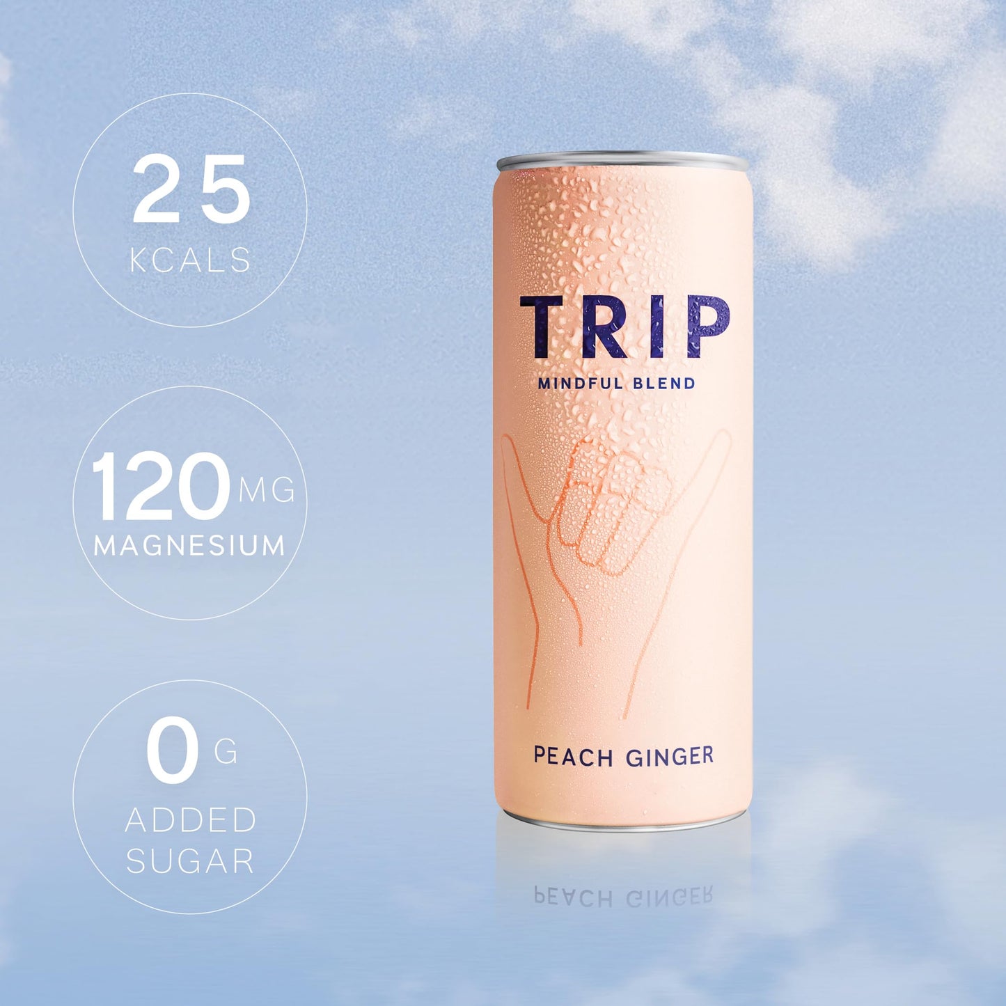 TRIP Adaptogen Seltzer, Peach Ginger, Lightly Sparkling, 12 Fl Oz, Pack of 12, Vegan, No Added Sugar