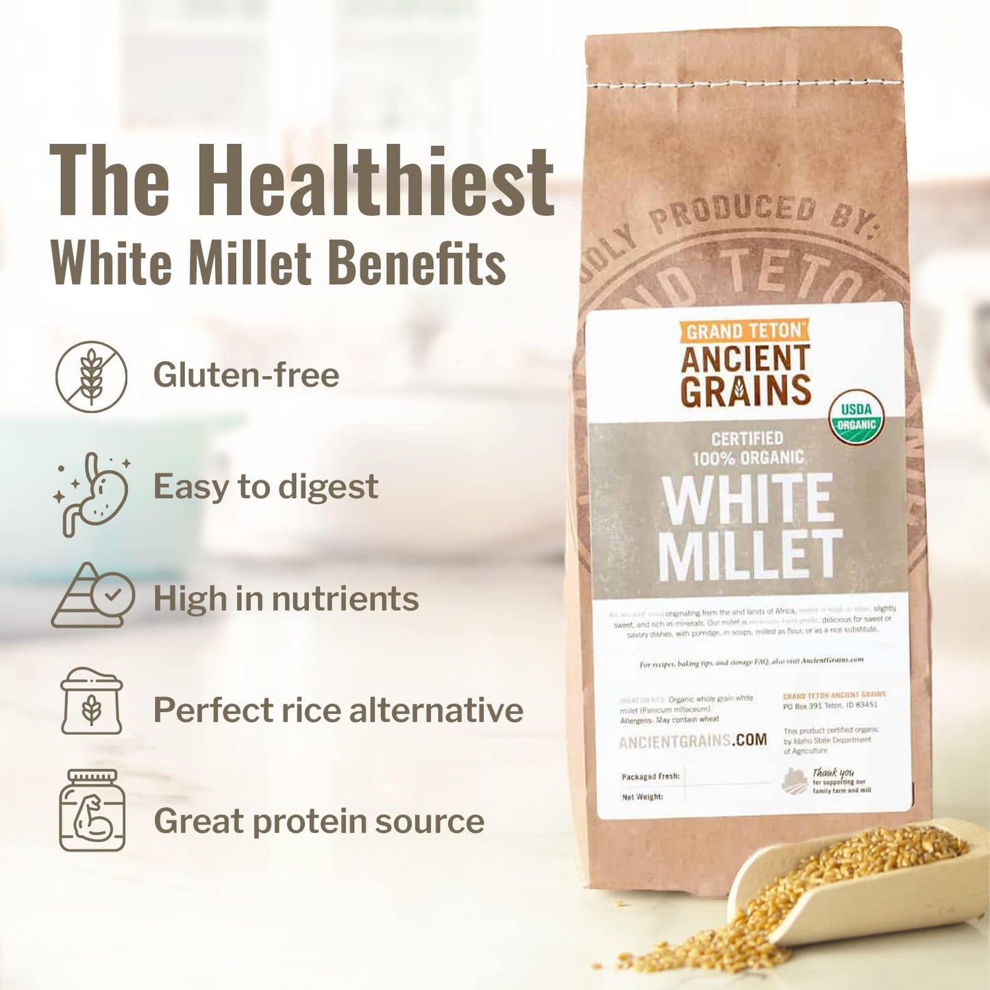 Grand Teton Organic White Millet - Gluten-Free Hulled Grain for Salads & Soups - 25 Pounds