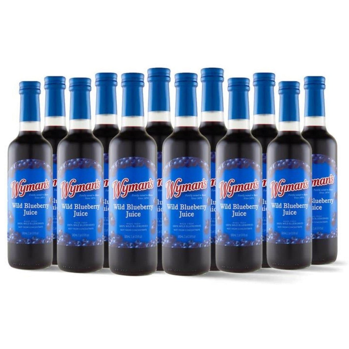 Wyman'S Wild Blueberry Juice, 100% Juice, No Sugar Added, Not From Concentrate, Glass Bottled, 500Ml (12 Pack)