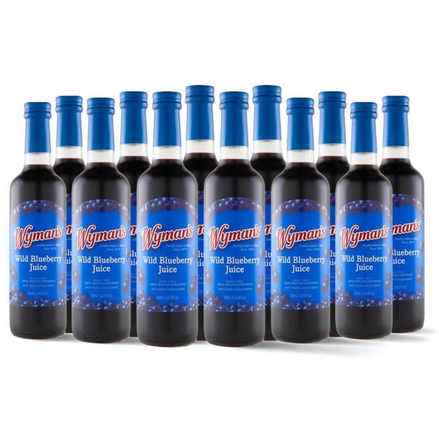 Wyman'S Wild Blueberry Juice, 100% Juice, No Sugar Added, Not From Concentrate, Glass Bottled, 500Ml (12 Pack)