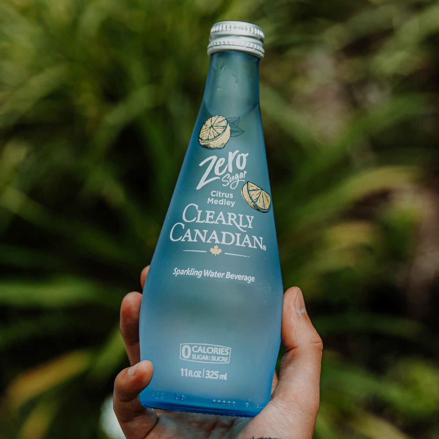 Clearly Canadian Sparkling Water Beverage, Zero Sugar & Zero Calories, 1 Case (12 Bottles x 11 Fl Oz)