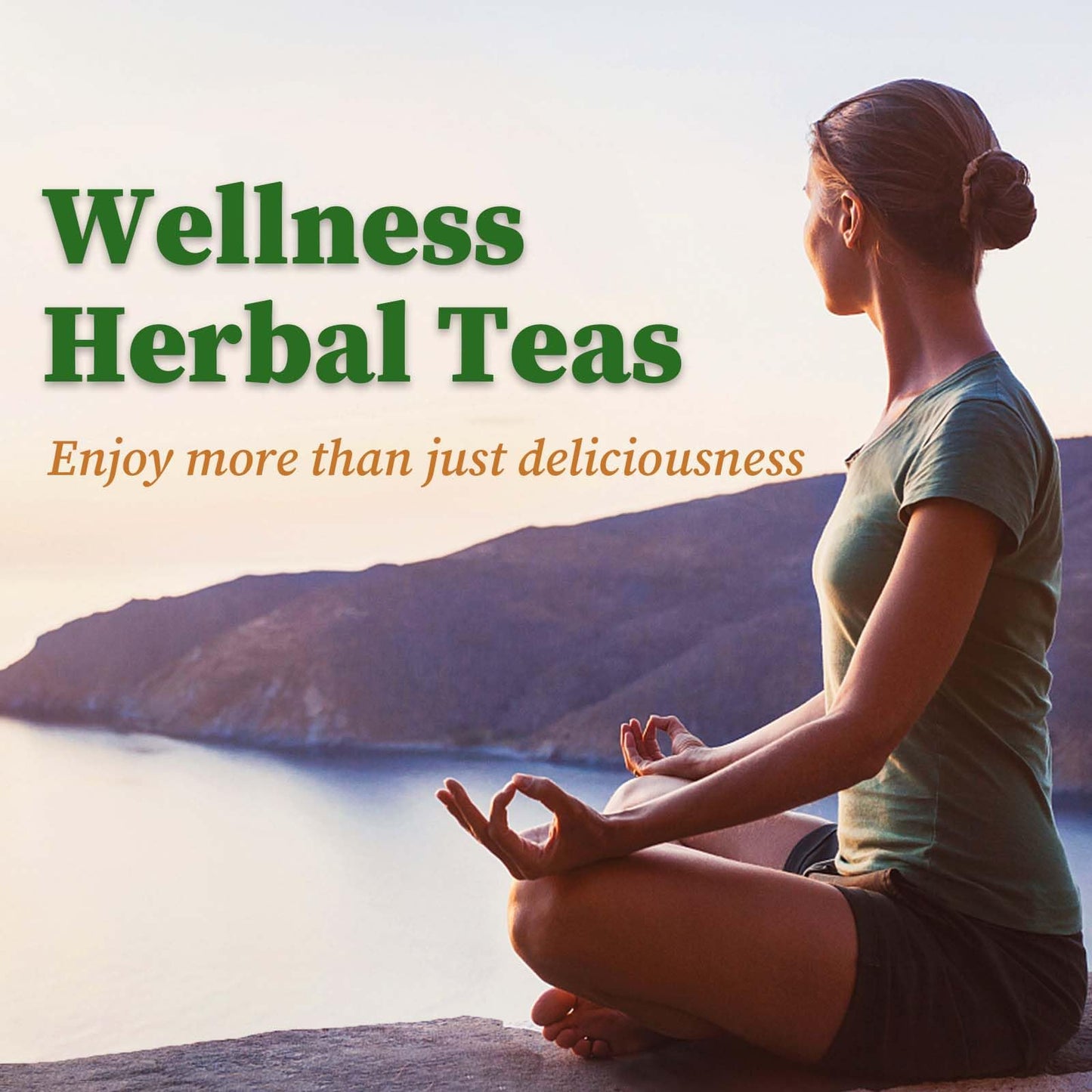 FullChea Holy Basil Tea Bags - 40 Tulsi Teabags, Caffeine-free, Non-GMO, Supports Digestion, Boosts Immunity