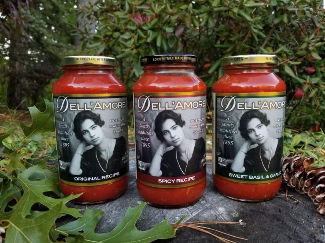 DellAmore Premium Marinara Sauce Combo Pack - 6 Pack (2 Original, 2 Spicy, 2 Sweet Basil) - 24oz Total Weight