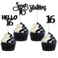 Gyufise 24Pcs Black Glitter 16Th Birthday Cupcake Toppers Sweet 16 Cake Toppers Hello 16 Sixteen Cupcake Picks For 16Th Birthday