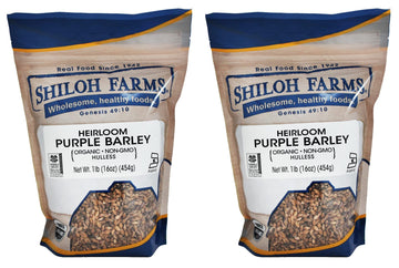 Shiloh Farms Heirloom Organic Hulless Purple Barley - Whole Grain - 16 Ounce Bag (Pack of 2) - ONE OF THE MOST NUTRITIOUS GRAINS