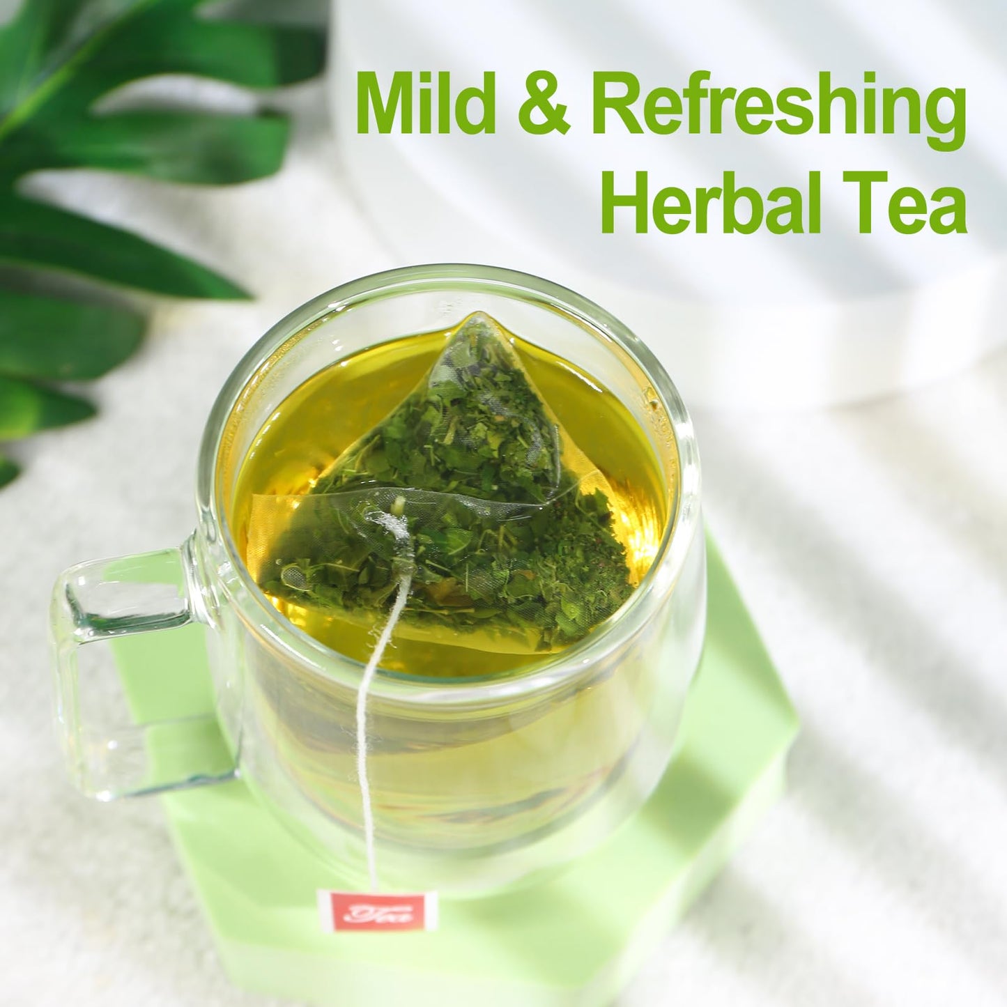 FullChea Moringa Tea - Herbal Tea for Digestion & Immunity, 50 Teabags, Non-GMO, Caffeine-Free, Pure & Natural Moringa Leaves