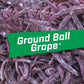 Big League Chew Ground Ball Grape Bubble Gum - Juicy Grape Flavor Explosion | Ideal for Baseball Games, Teams, Concessions, Part