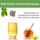 VitalForest Soursop Leaves Tea Bags - 40 Dried Tea Bags - Herbal Infusion