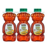 Kirkland Signature Raw Organic Honey Bear 24 Oz, 3 Count
