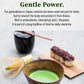 TAGASHIRA CHAHO Uji Matcha Green Tea Powder - Ceremonial Grade, Hand-picked First Harvest, 30g, 100% Product of Japan