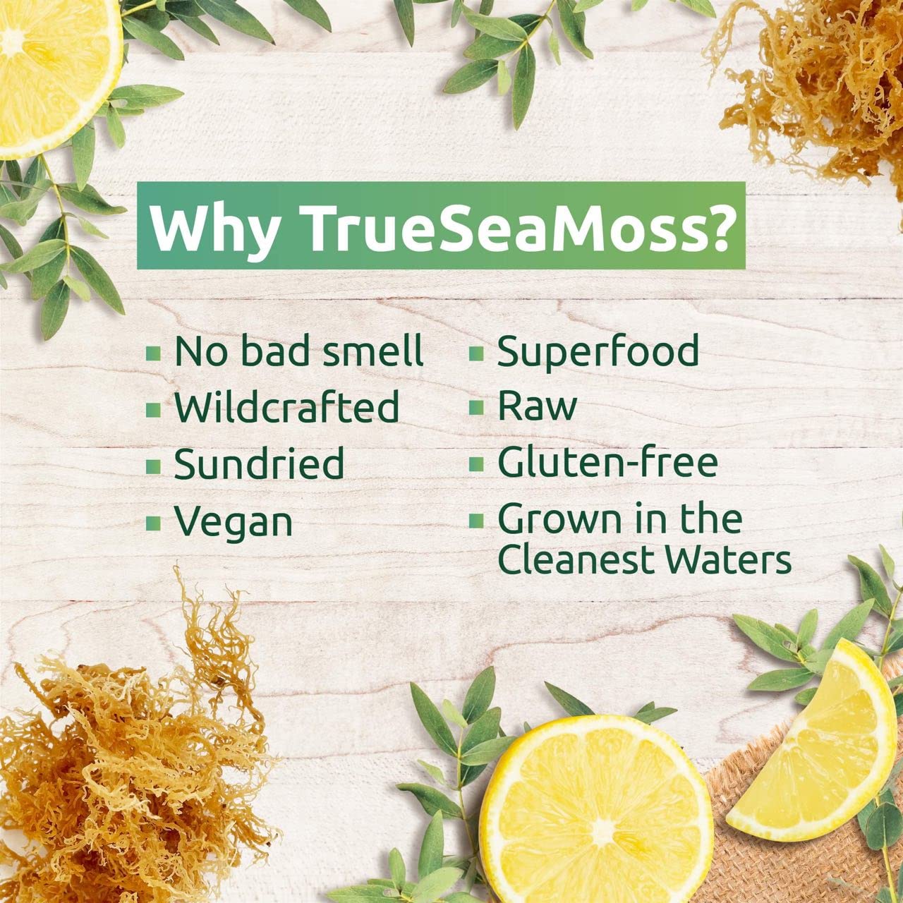 TrueSeaMoss Sea Moss Raw Gold - Organic Irish Sea Moss Gel - 16oz (Makes 200 oz) - Wildcrafted for Skin and Digestion - 1 Pound