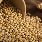 Hunza Natural Foods Organic Soybeans, 32 Ounce (2 lbs), Non-GMO, Pack of 1